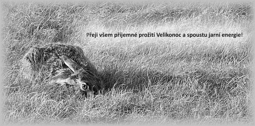 velionoce