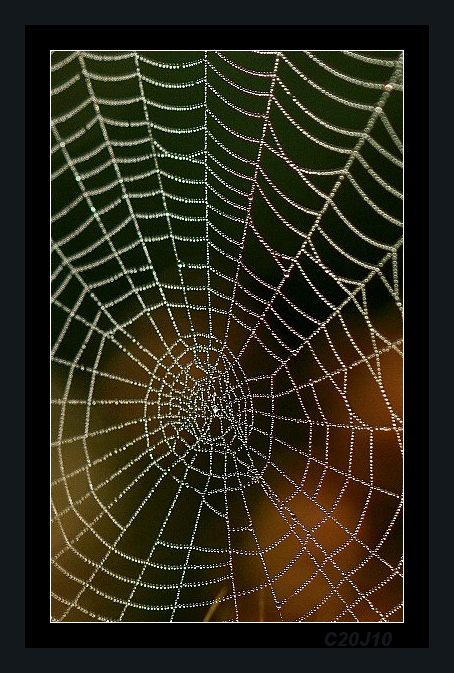 web