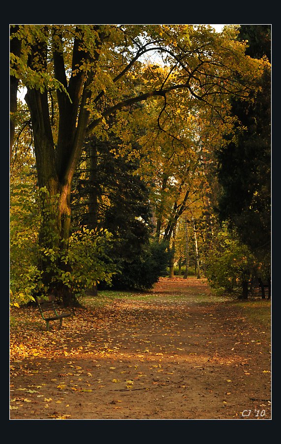 park