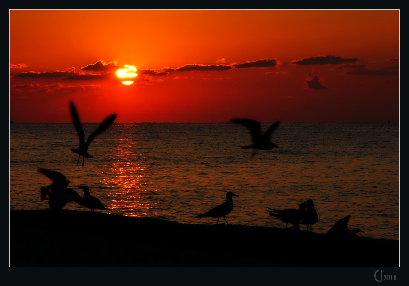 pomorie